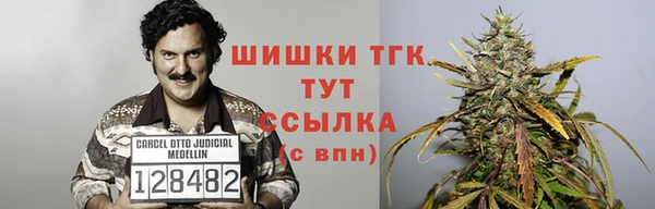PSILOCYBIN Бугульма