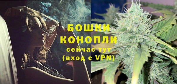 PSILOCYBIN Бугульма