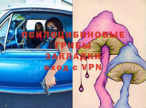 PSILOCYBIN Бугульма