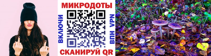 купить закладку Мостовской Псилоцибиновые грибы Magic Shrooms